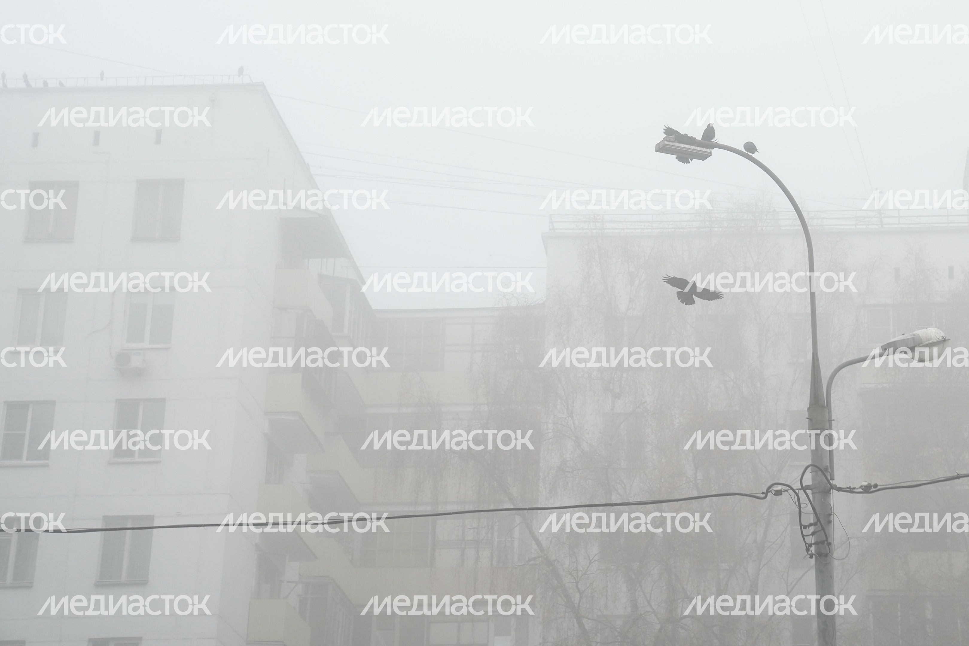 Аномальный туман в Москве