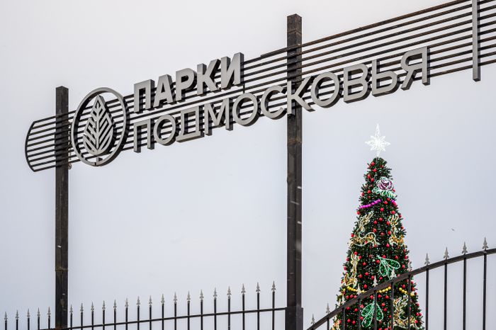 Парк культуры и отдыха "Дулёвский" в Орехово-зуевском городском округе