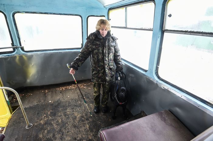 Школа собак‑проводников в Подмосковье