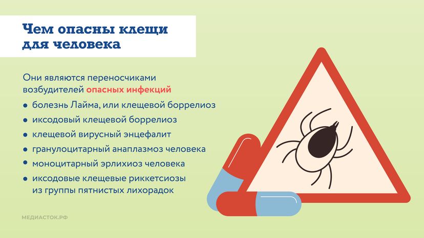 Как защититься от клещей горизонталь 03