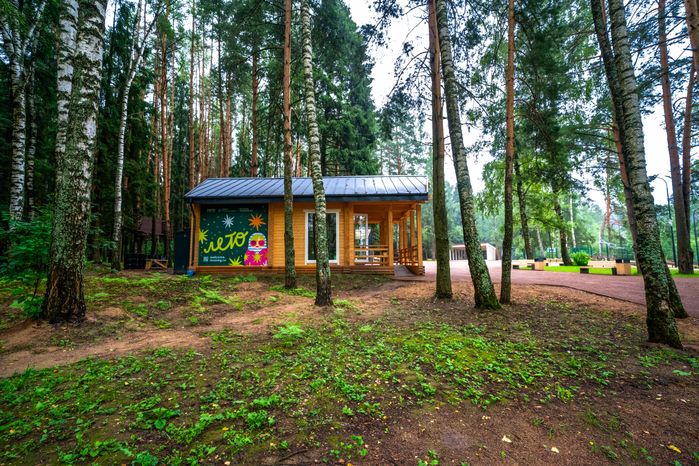Беседка в лесопарке «Талицкий лес» летом в Клину