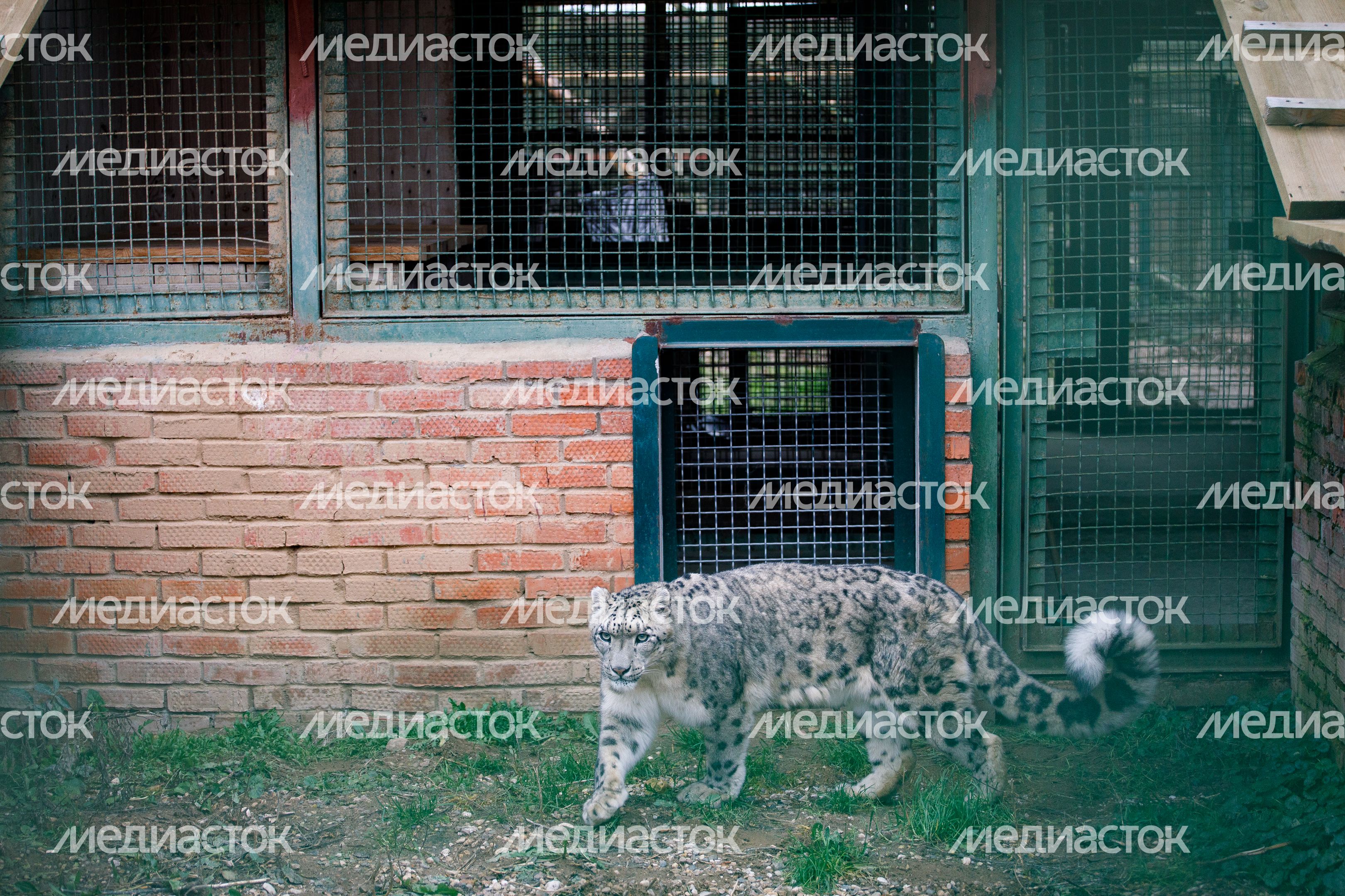 Волоколамск. Центр воспроизводства редких видов животных Волоколамск. Центр воспроизводства редких видов животных