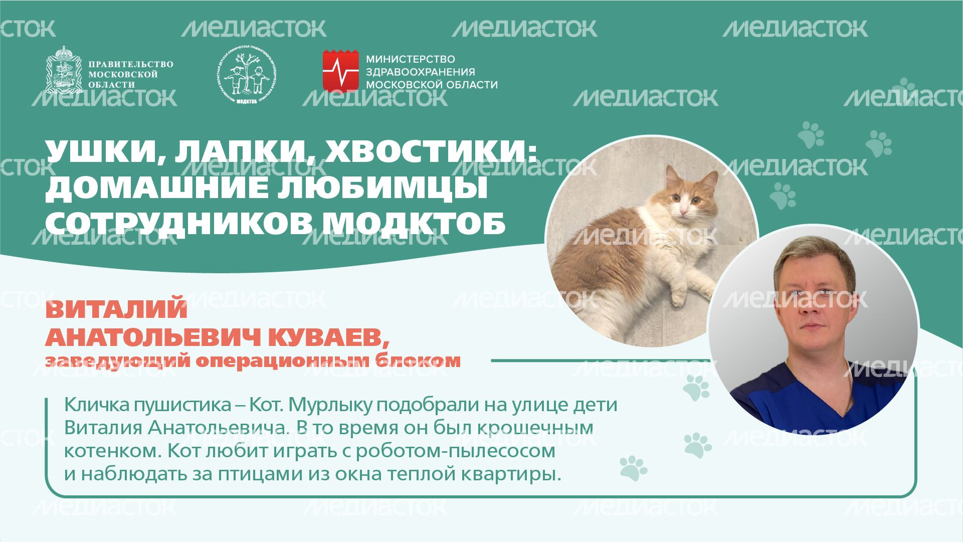Ушки, лапки, хвостики горизонталь 01 Ушки, лапки, хвостики горизонталь 01