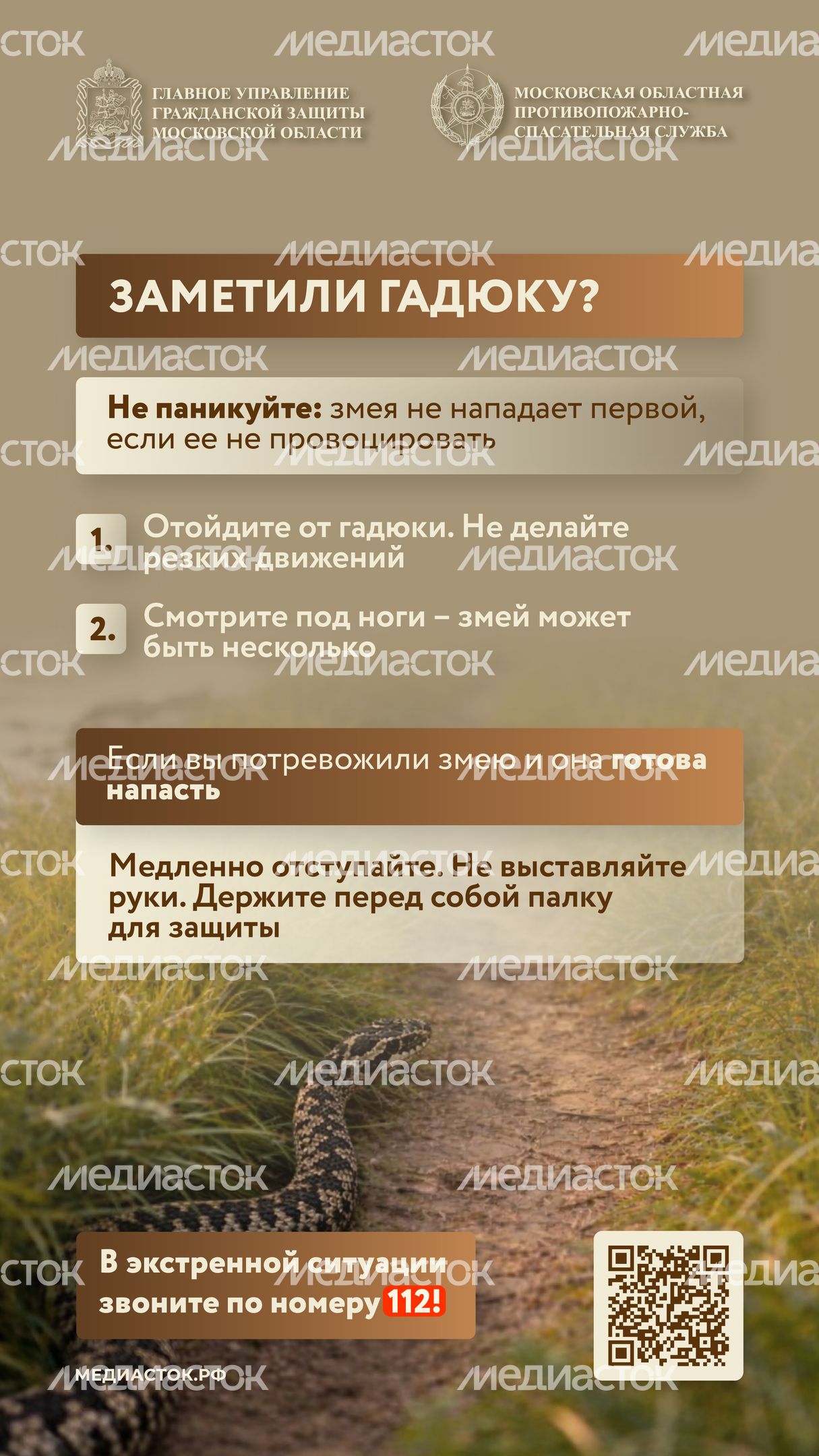 Гадюки вертикаль 05 Гадюки вертикаль 05