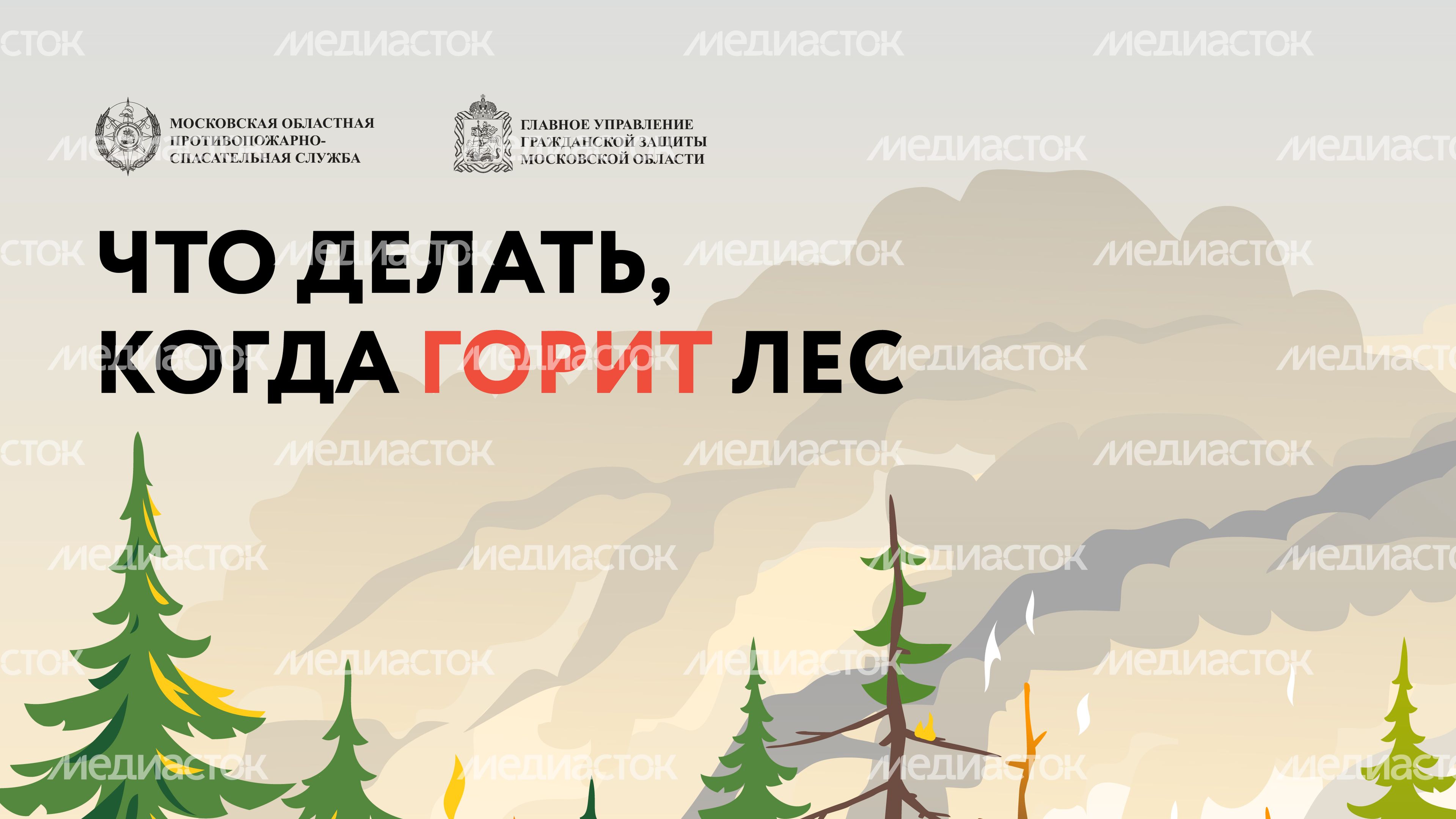 Лесные пожары