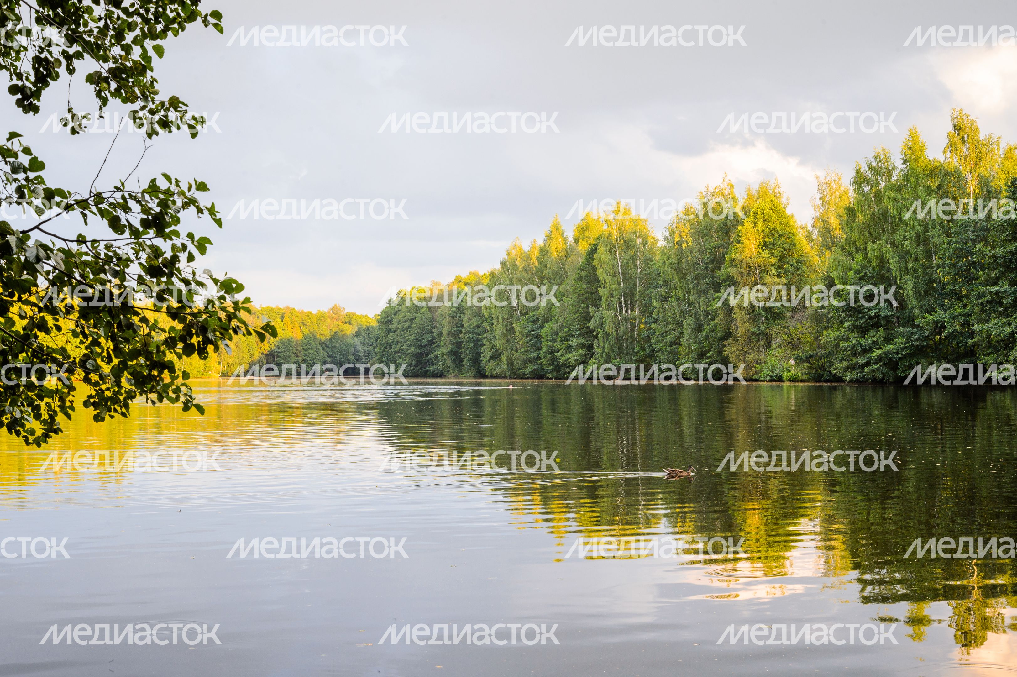 Горокруг Черноголовка. Летние виды реки Черноголовки Горокруг Черноголовка. Летние виды реки Черноголовки