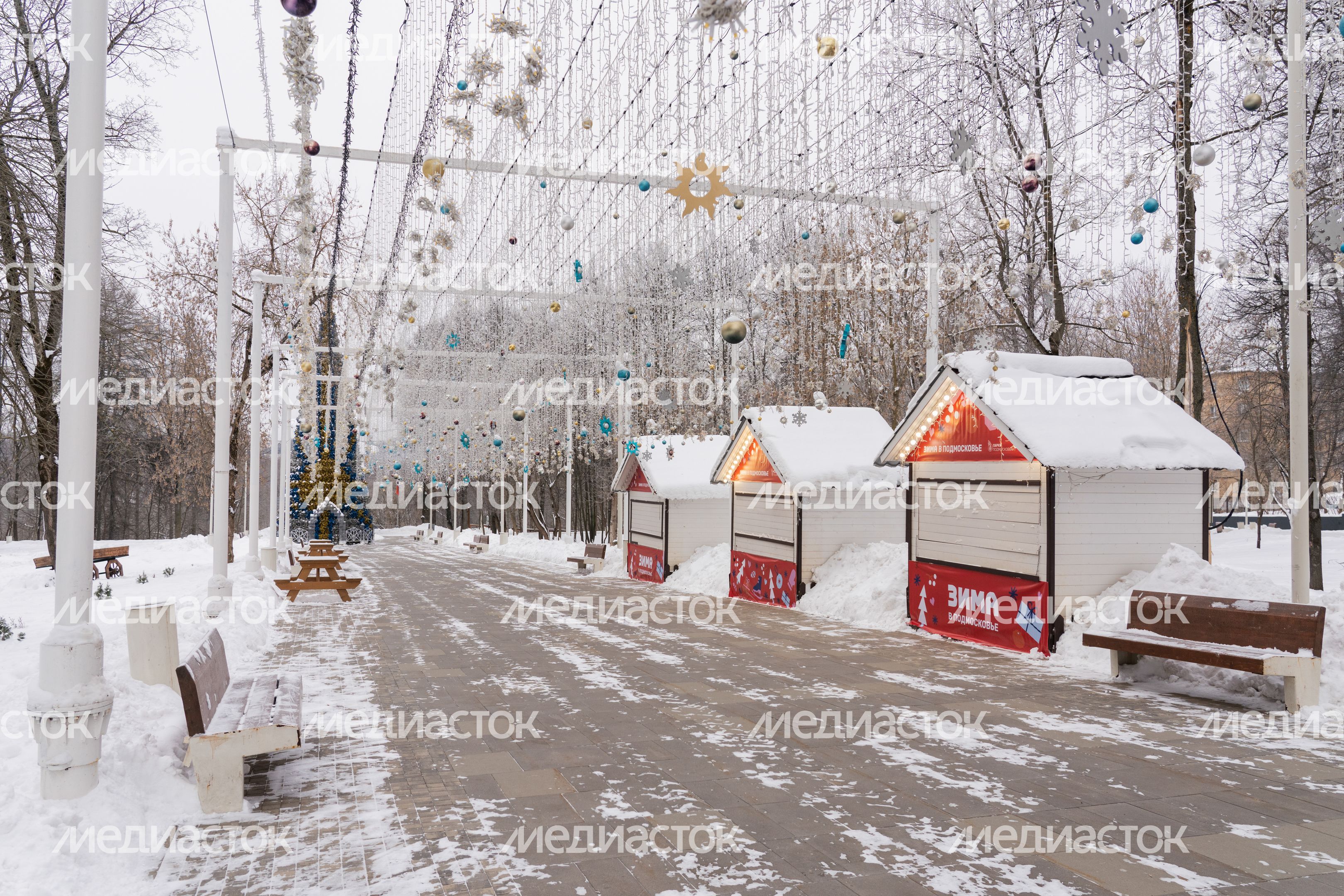 Истринский городской парк зимой Истринский городской парк зимой
