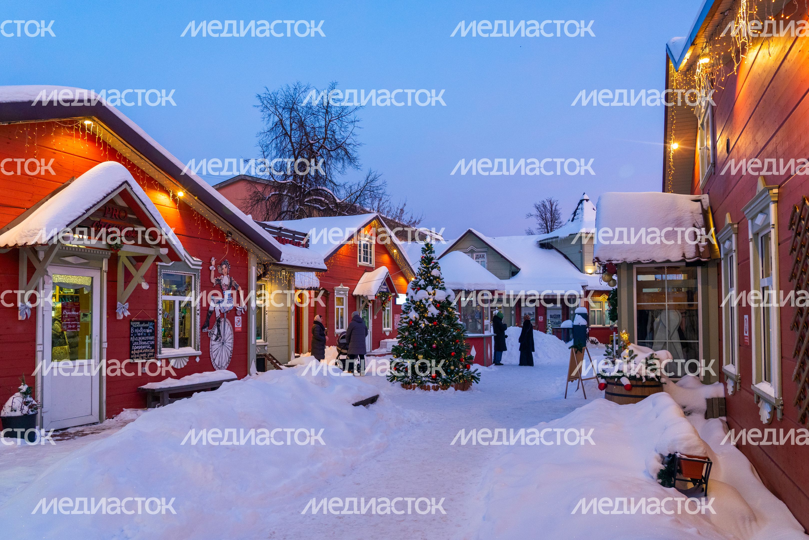 Зимние виды Звенигорода