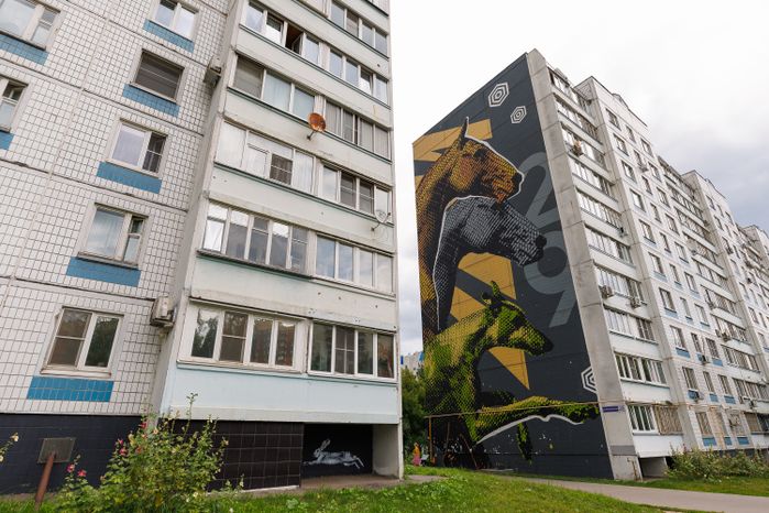 Муралы в Железнодорожном, Балашиха