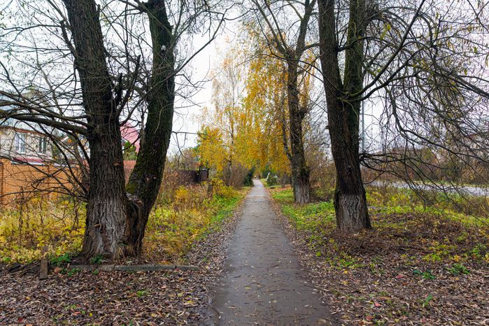 Виды микрорайона Востряково города Домодедово осенью