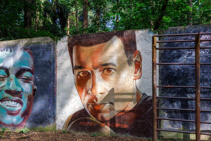 Муралы в Железнодорожном, Балашиха
