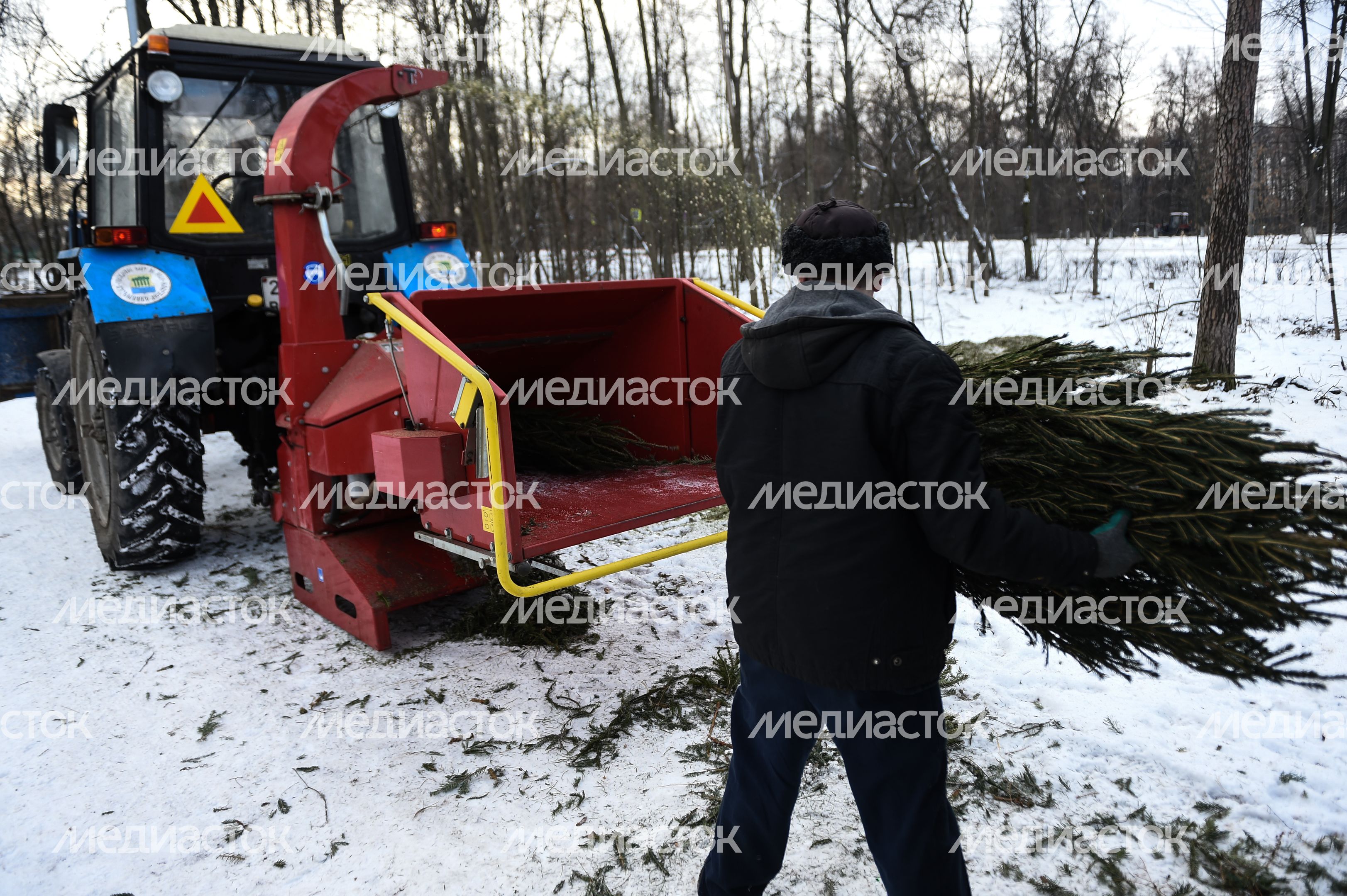 Утилизация елок после Нового года в Москве