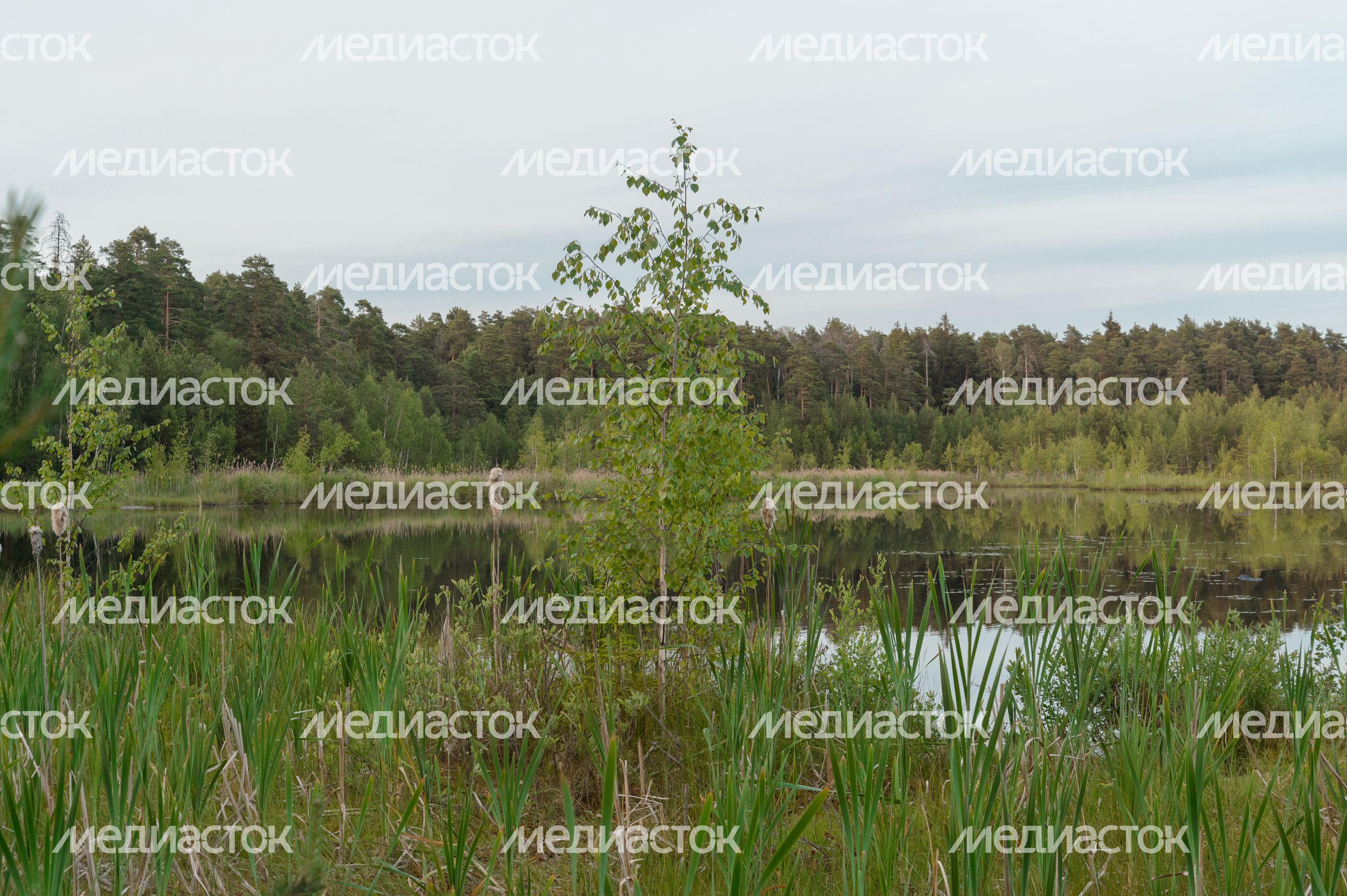Озеро Безменковский Карьер