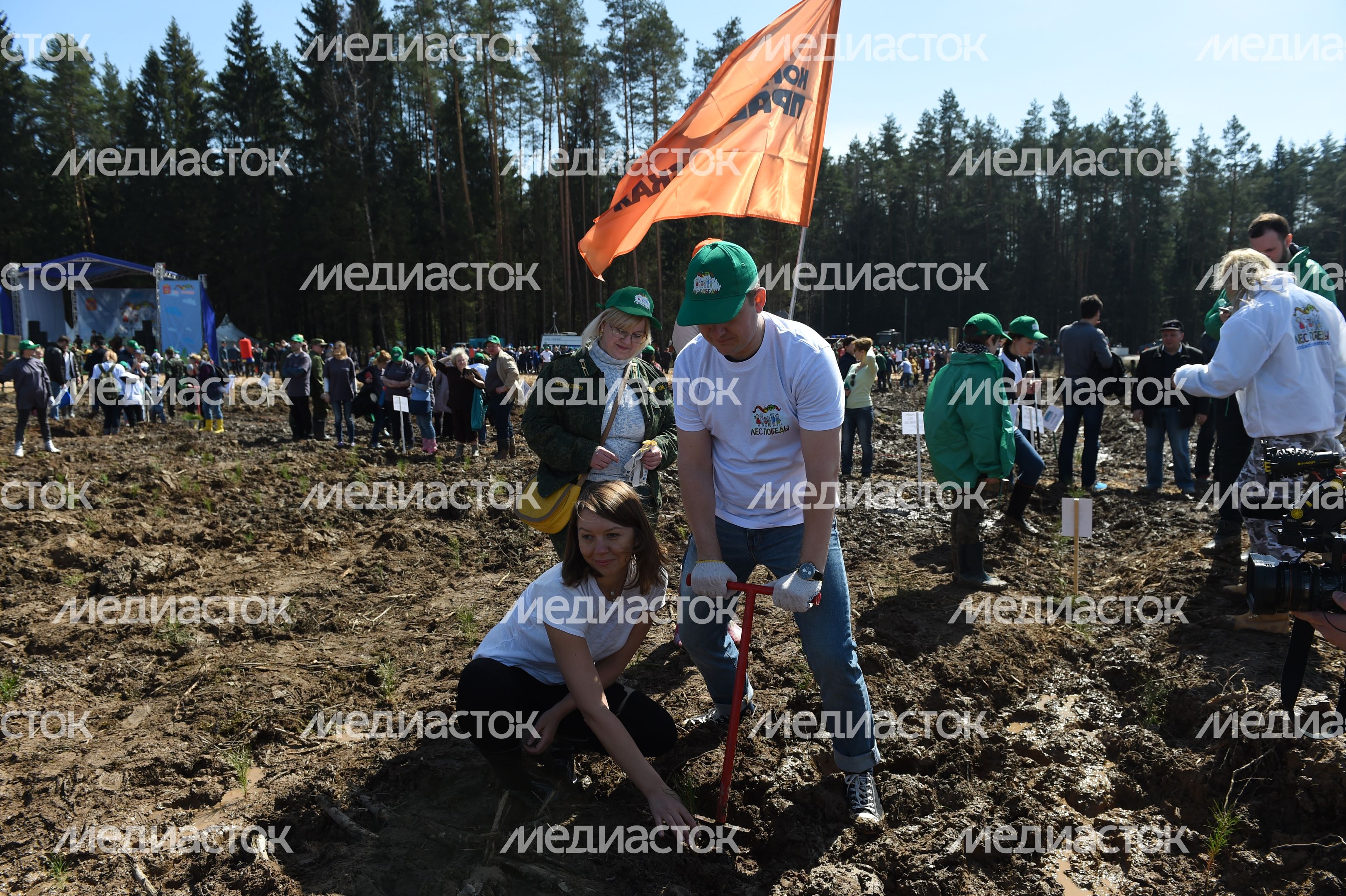 Общеобластная акция «Лес Победы» на центральной площадке в г. о. Истра 