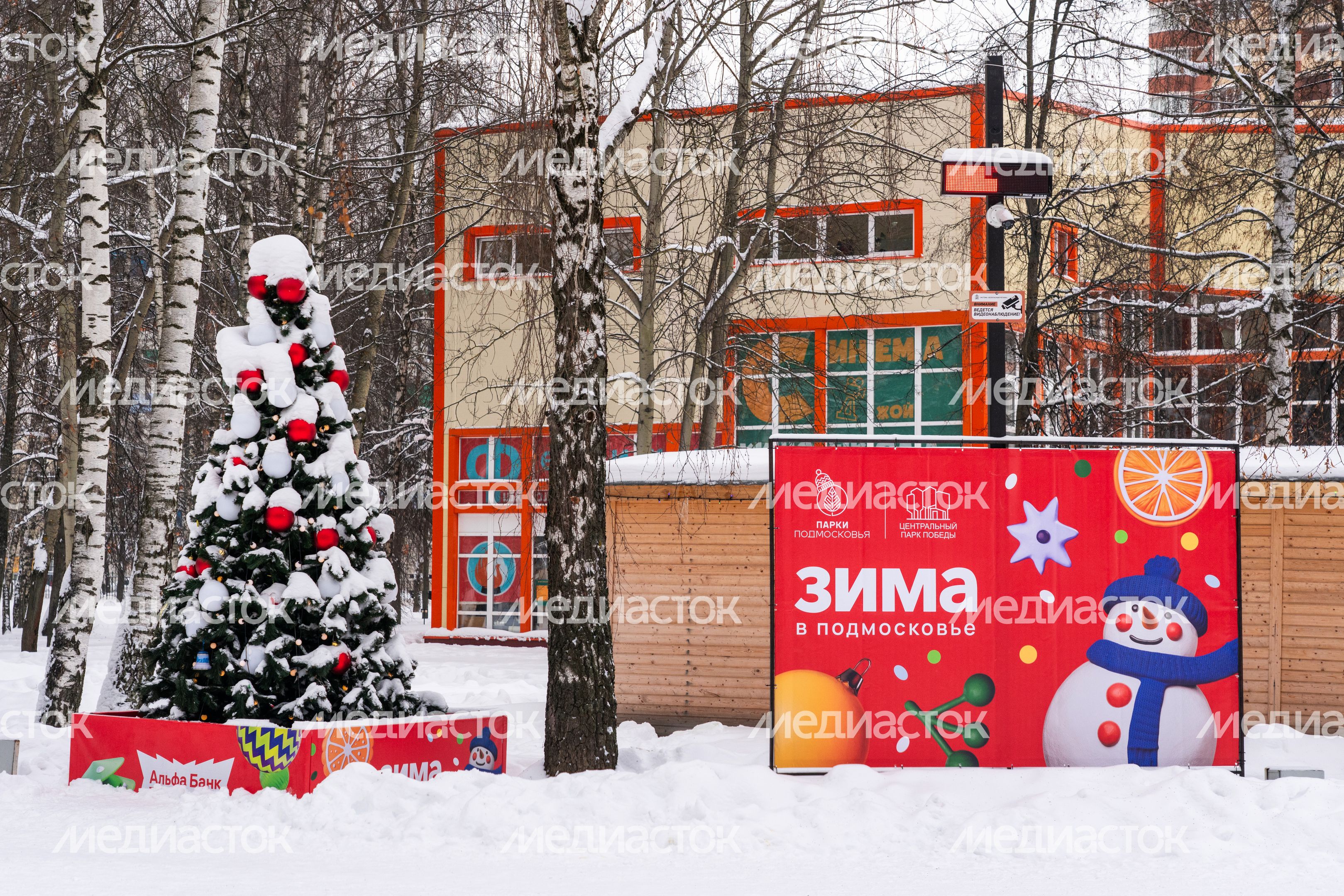Новогодняя елка в городском парке культуры и отдыха в Долгопрудном Новогодняя елка в городском парке культуры и отдыха в Долгопрудном