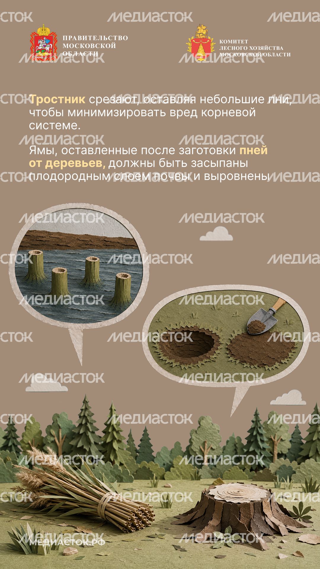 Недревесные ресурсы для собственных нужд Вертикаль 10