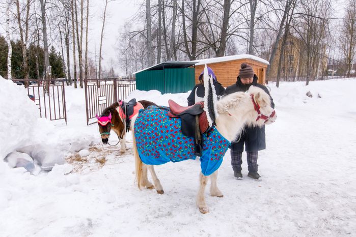 Фестиваль северных народов «Зов холода» в Талдомском округе