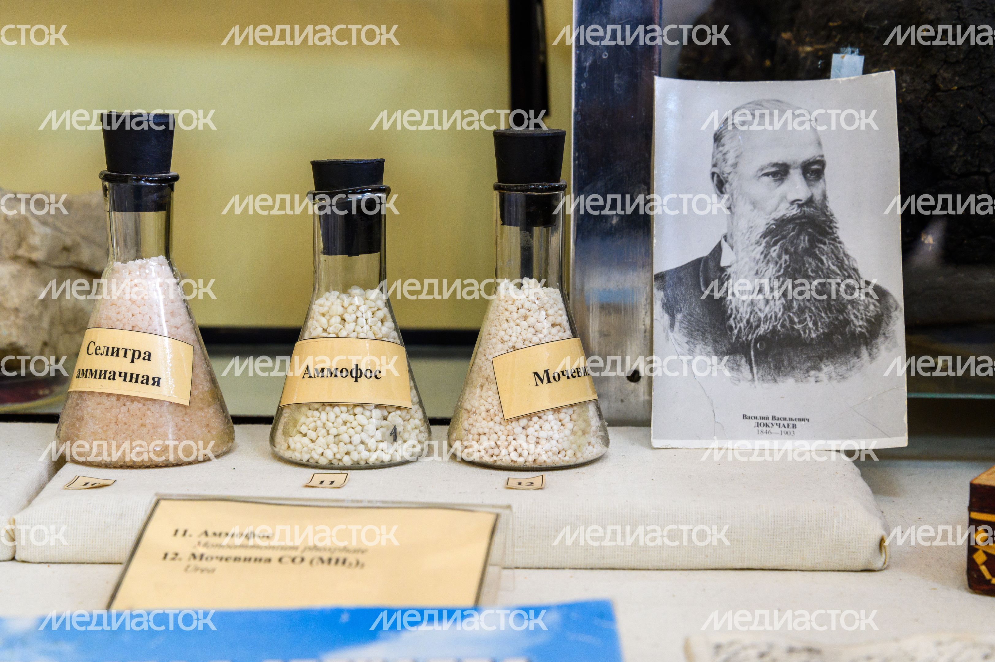 Пущинский музей экологии и краеведения