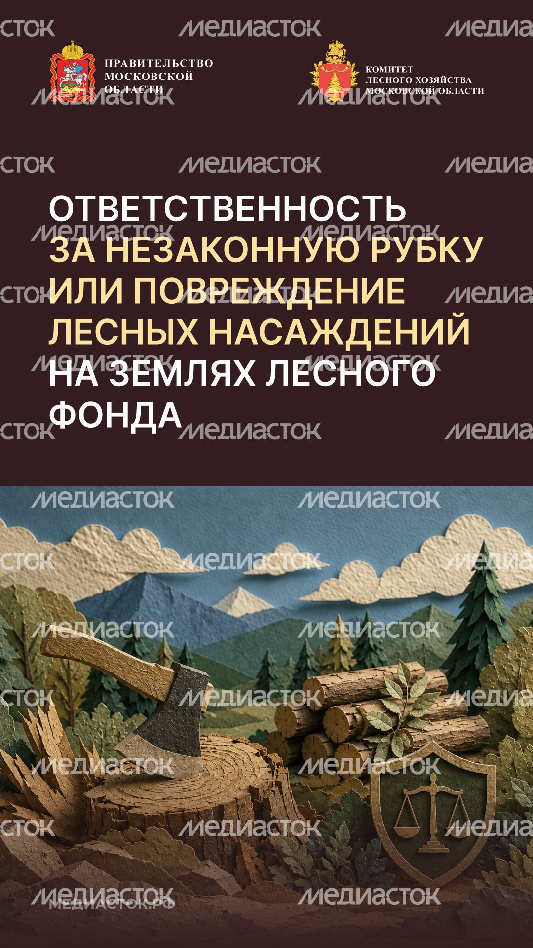 Незаконная рубка вертикаль 01