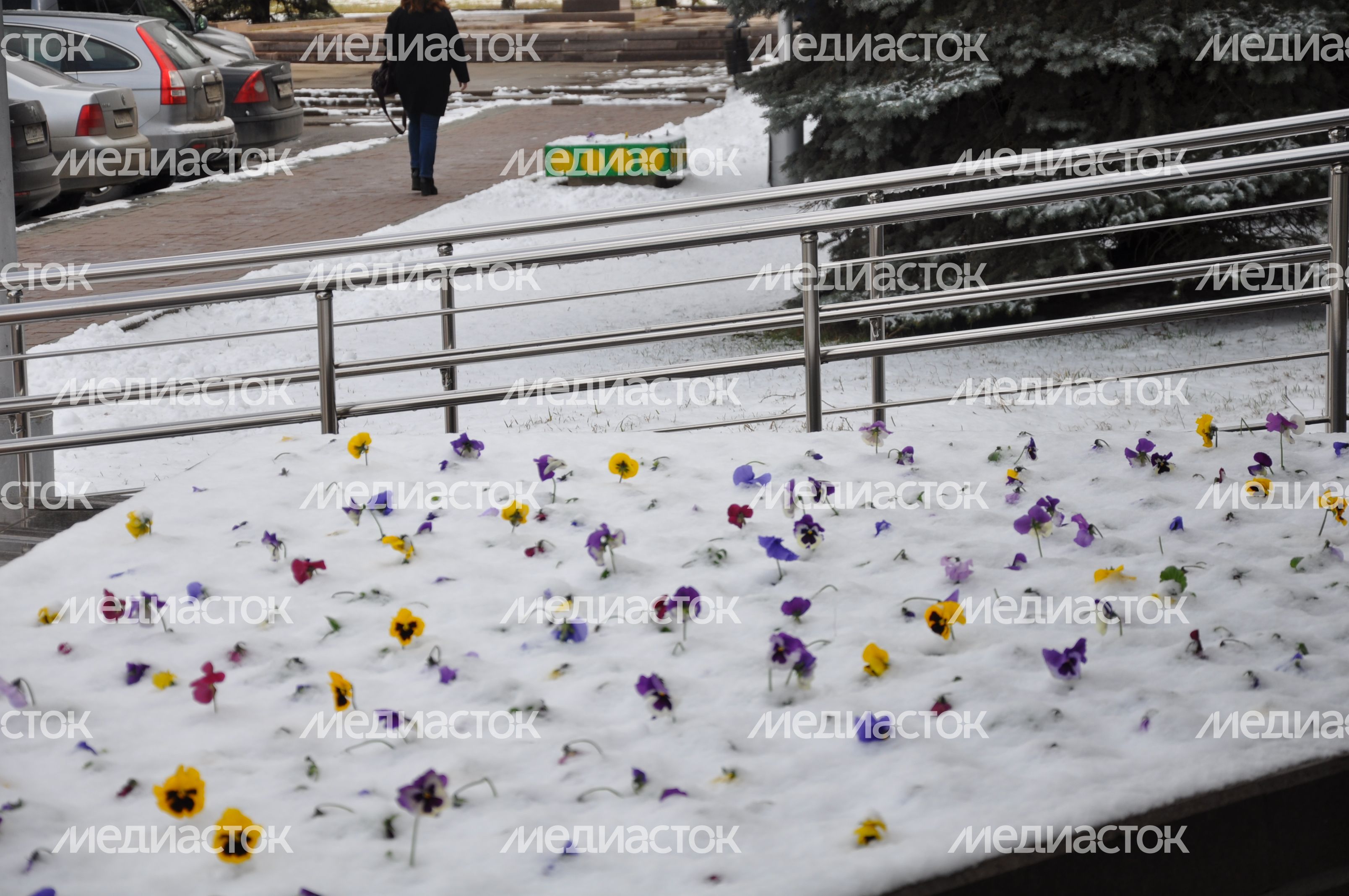 Снег в апреле в Серпухове