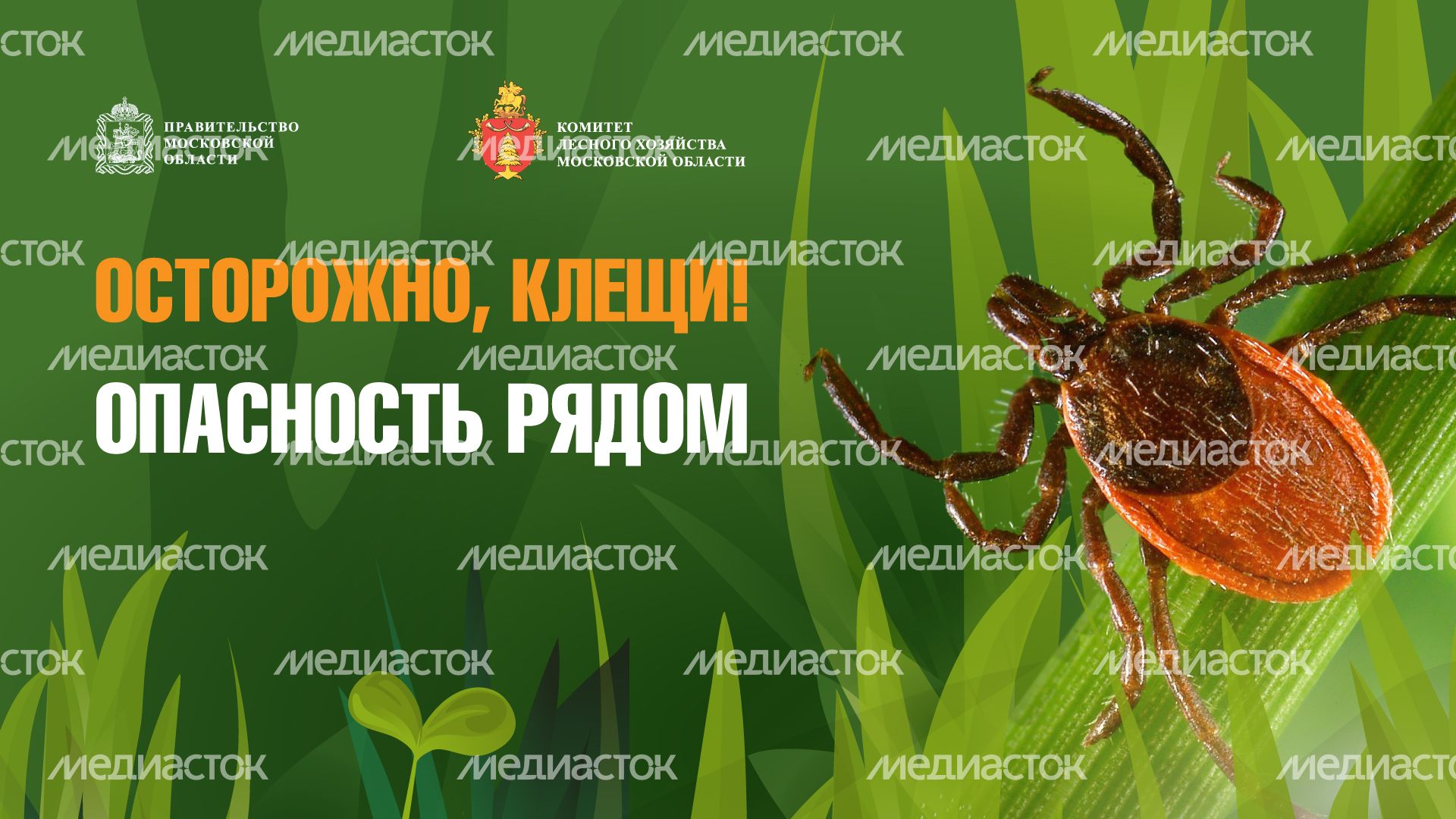 комлесхоз_клещи_гор_1