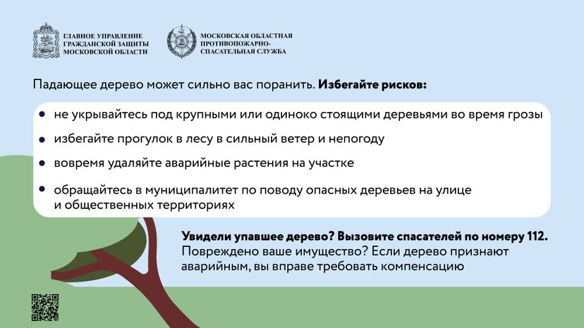 Аварийные деревья_Горизонталь-05.jpg