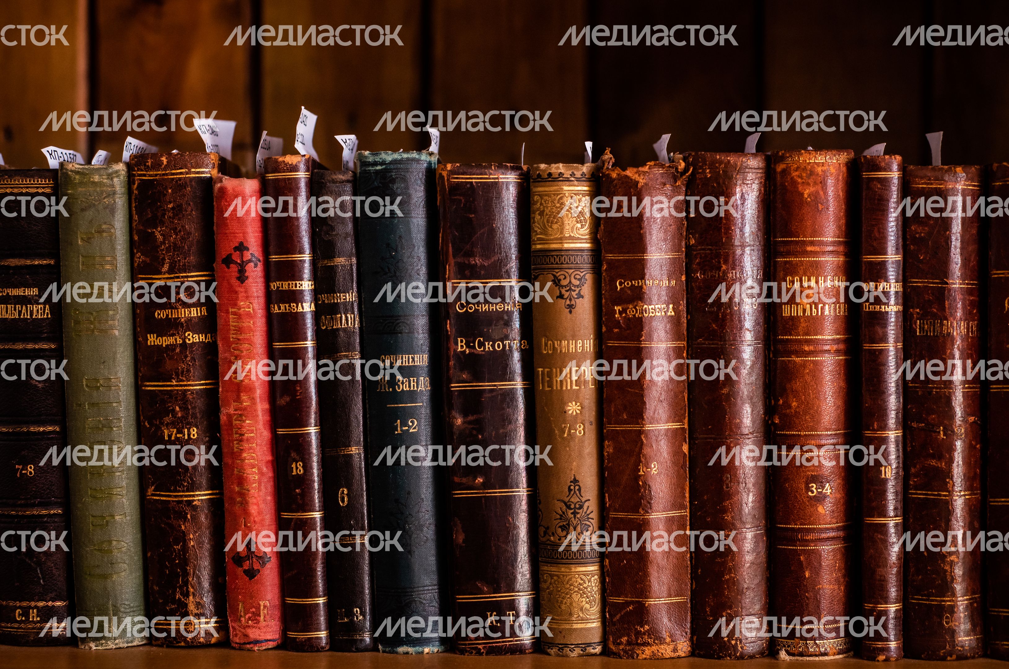 Зимние виды усадьбы Шахматово