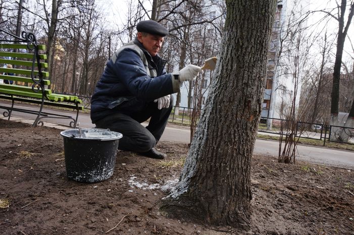 Единый областной субботник в Краснознаменске