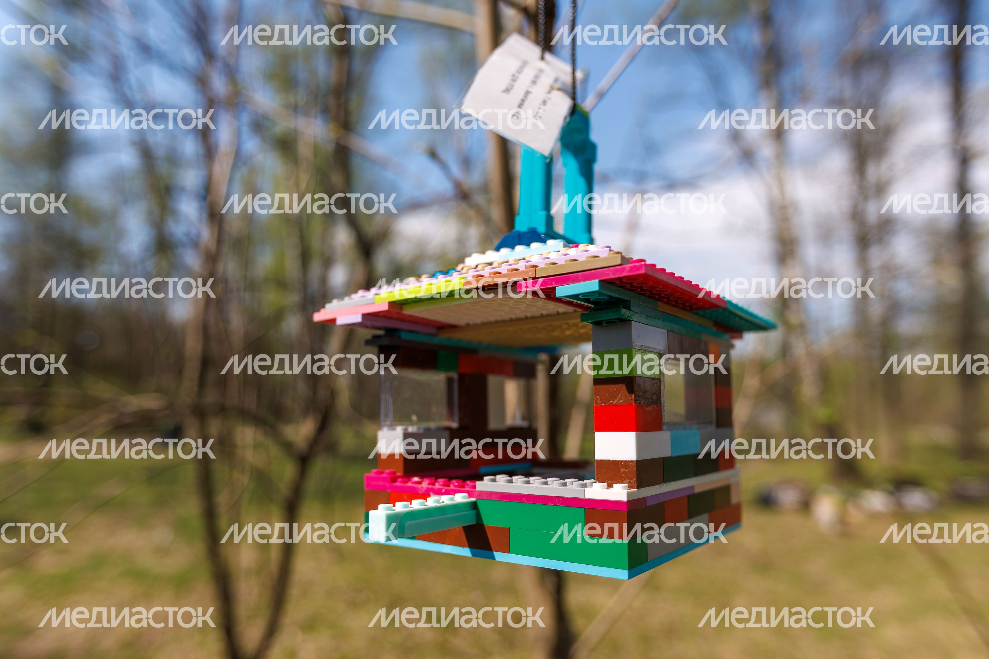 Фрязинский лесопарк весной Фрязинский лесопарк весной