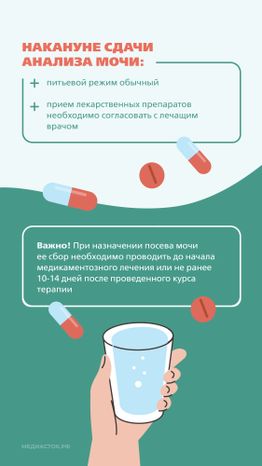 Подготовка к исследованию мочи Вертикаль 04