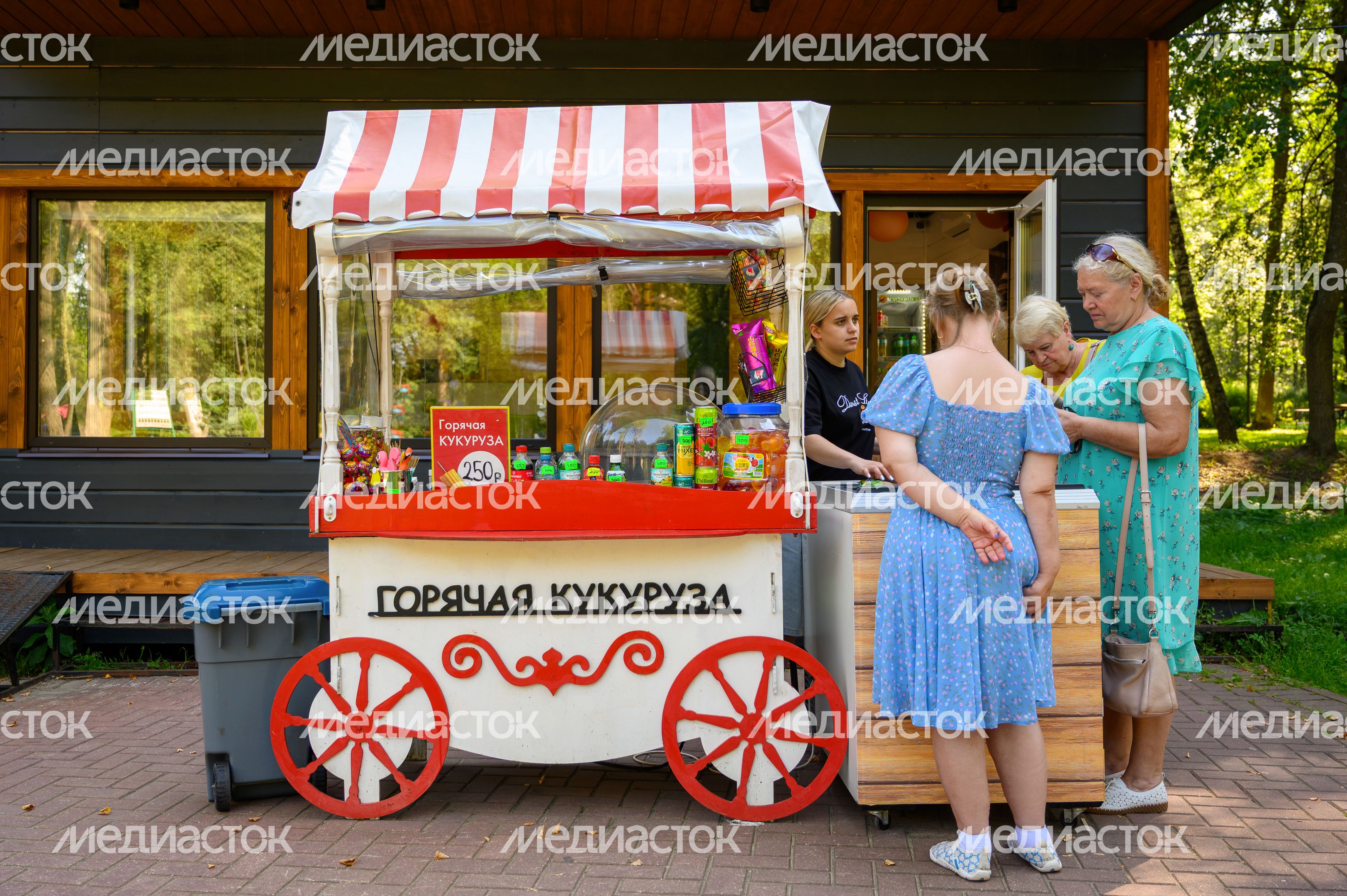 Парк "Скитские пруды" в Сергиевом Посаде. Лето Парк "Скитские пруды" в Сергиевом Посаде. Лето