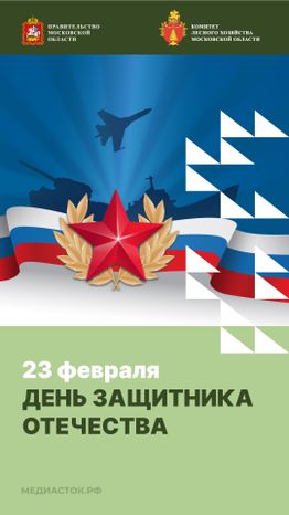 23 февраля вертикаль 01