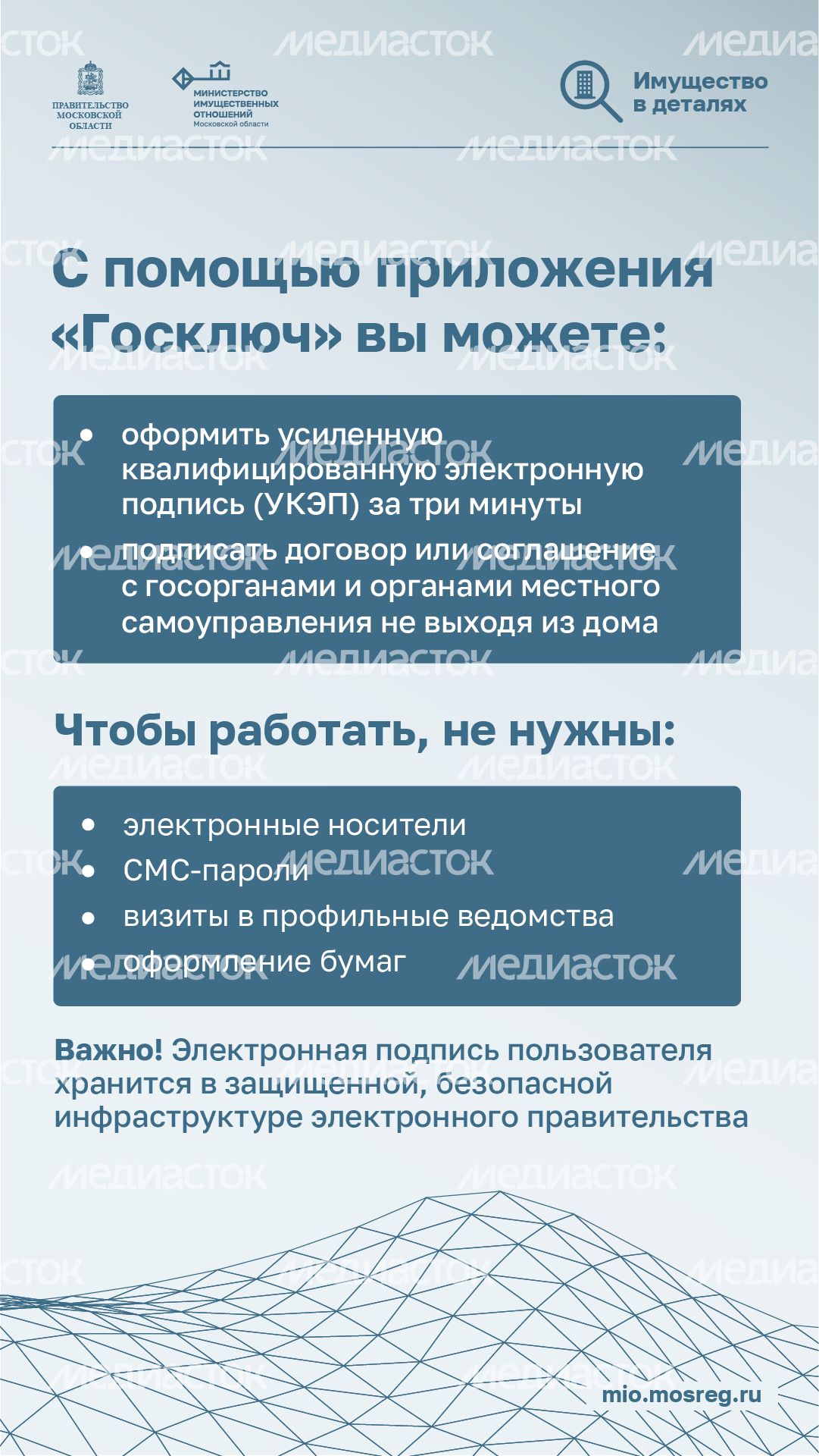 вертикали приложение госключ 01.png
