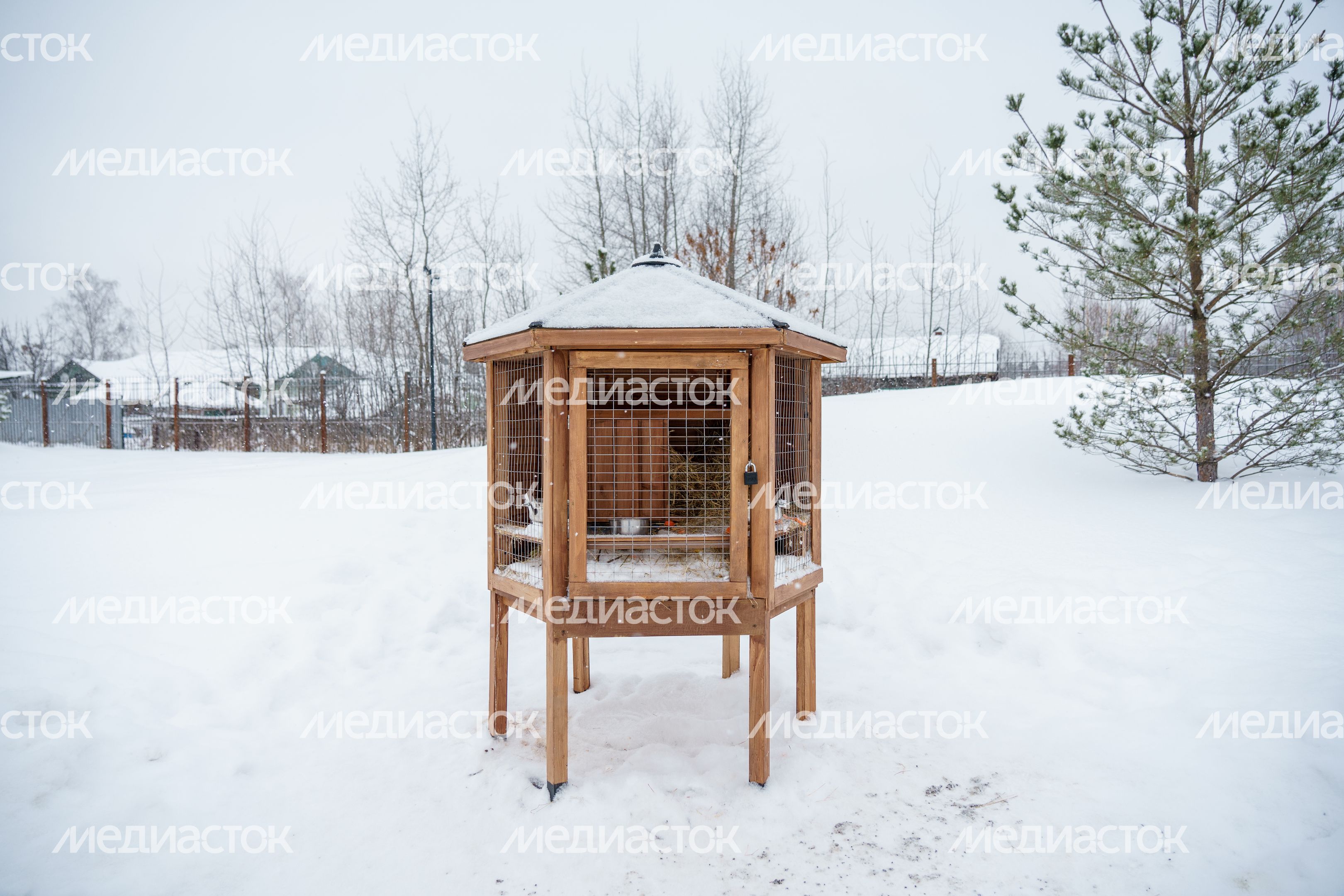 Парк «Дулевский» в Ликино-Дулево Парк «Дулевский» в Ликино-Дулево