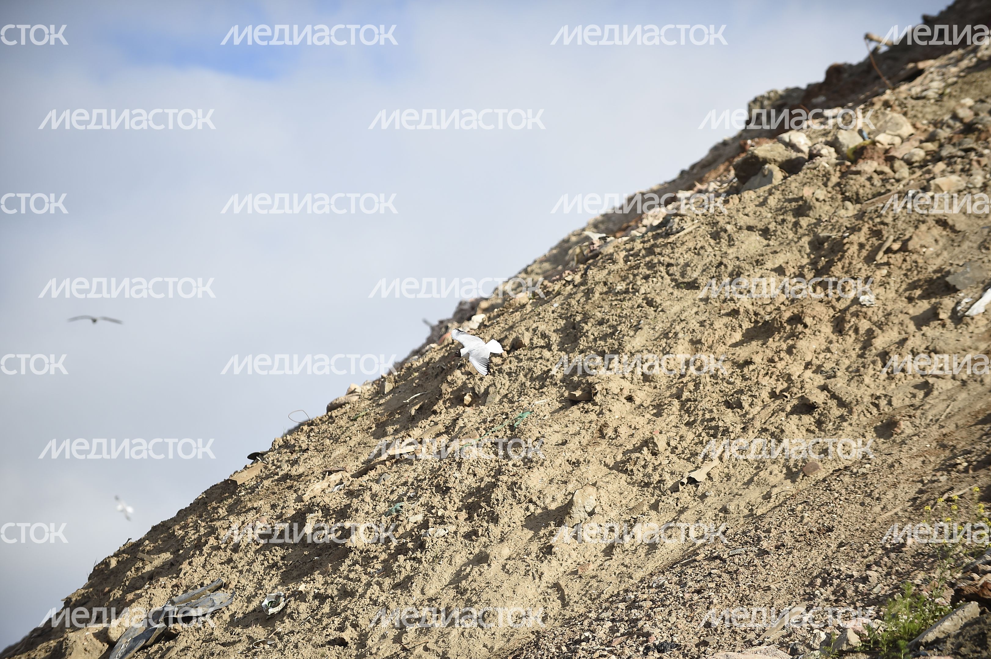 Закрытие Кучинского Полигона ТБО