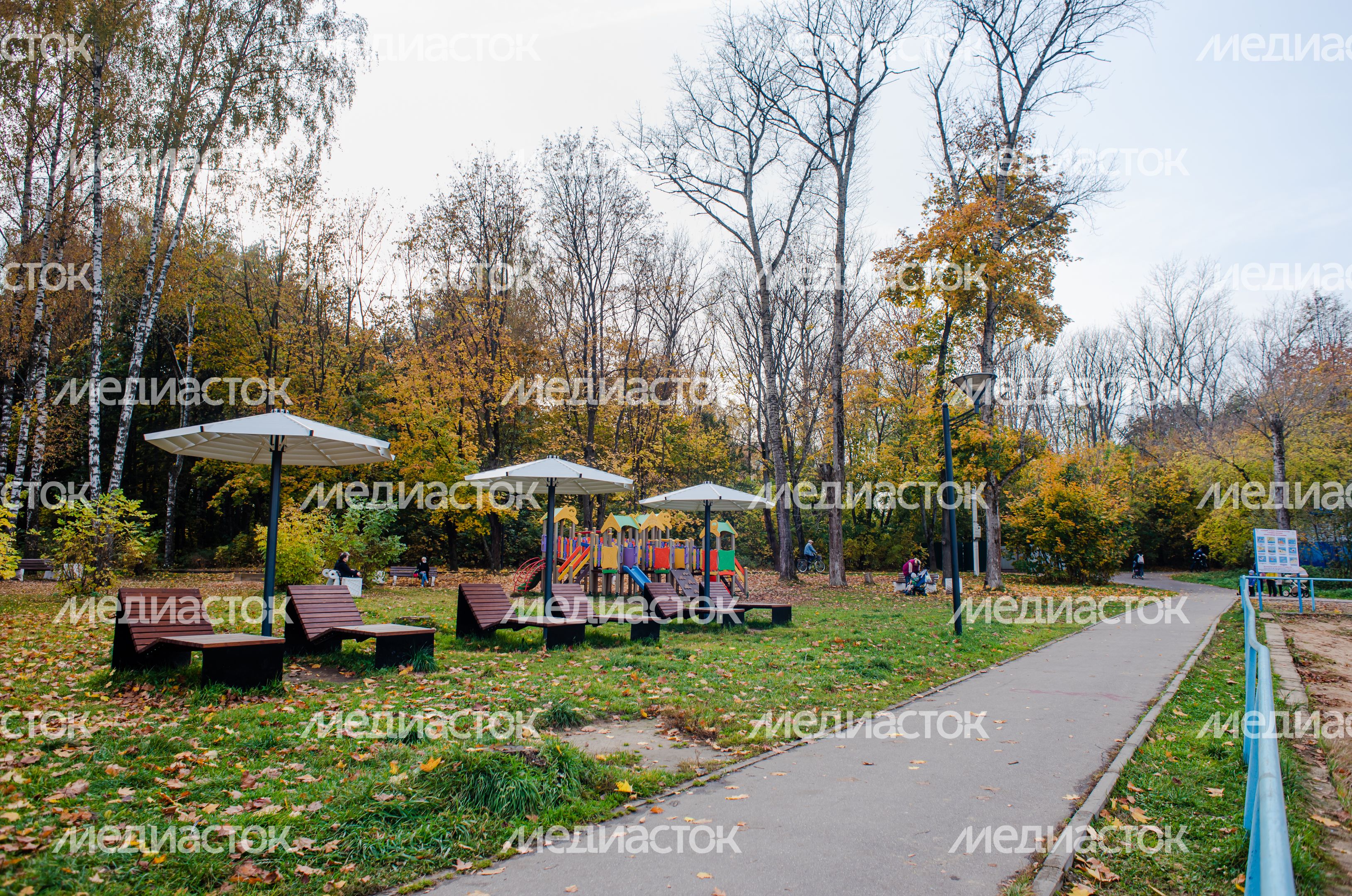 Осенние виды Городского парка в Щёлково