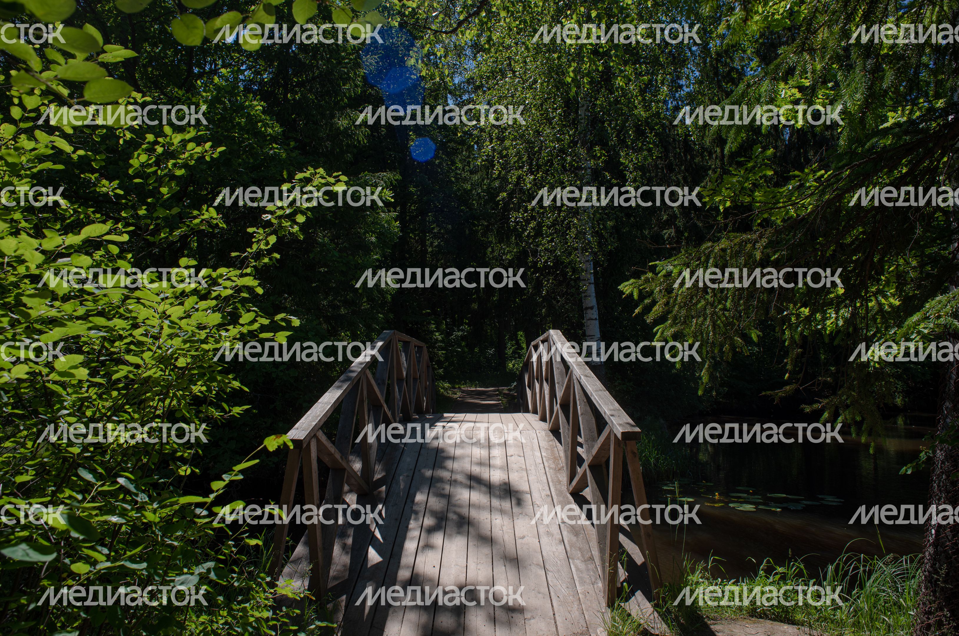 Летние виды Музея-заповедника «Абрамцево»