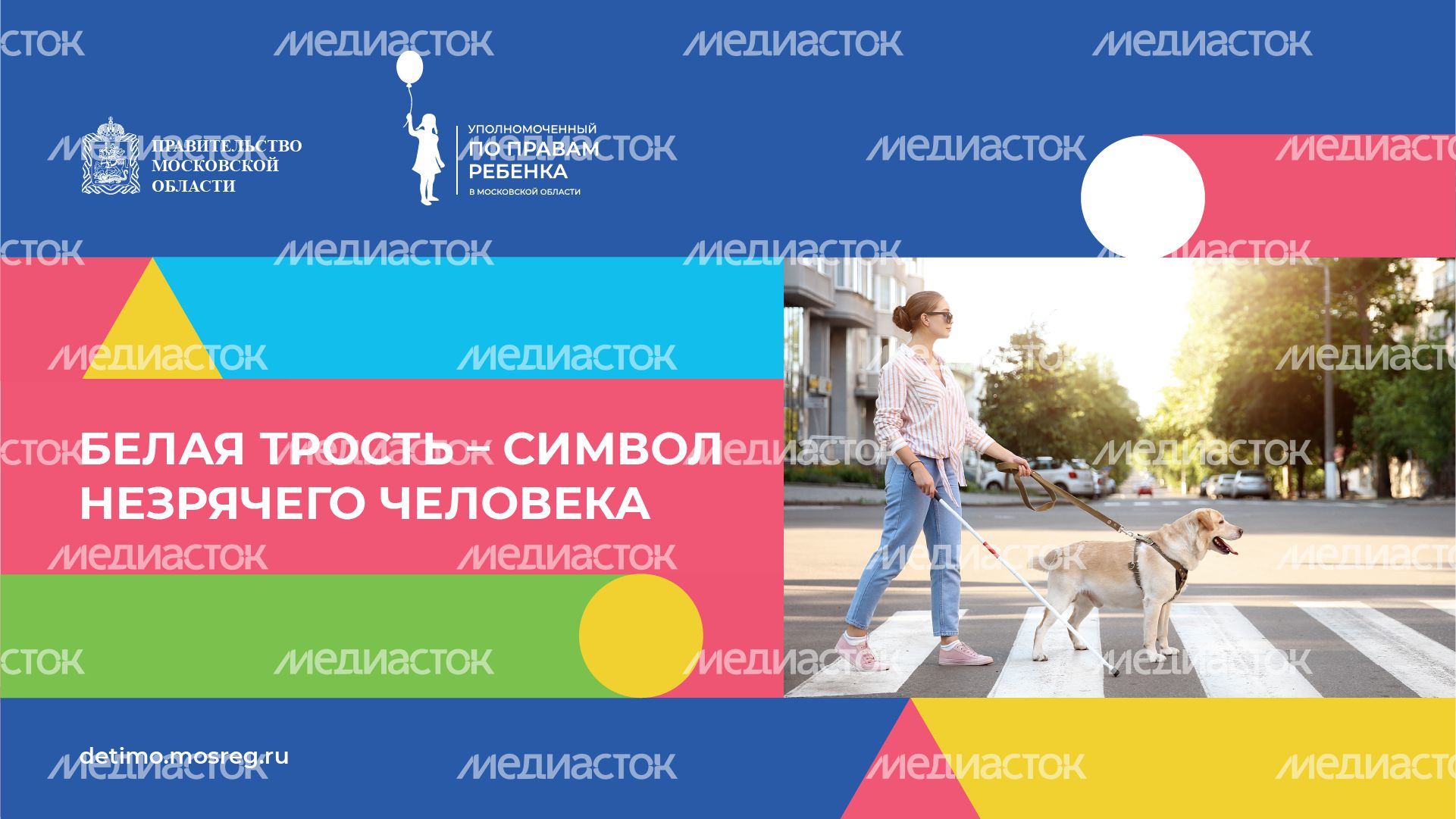 белая трость горизонталь 01.png