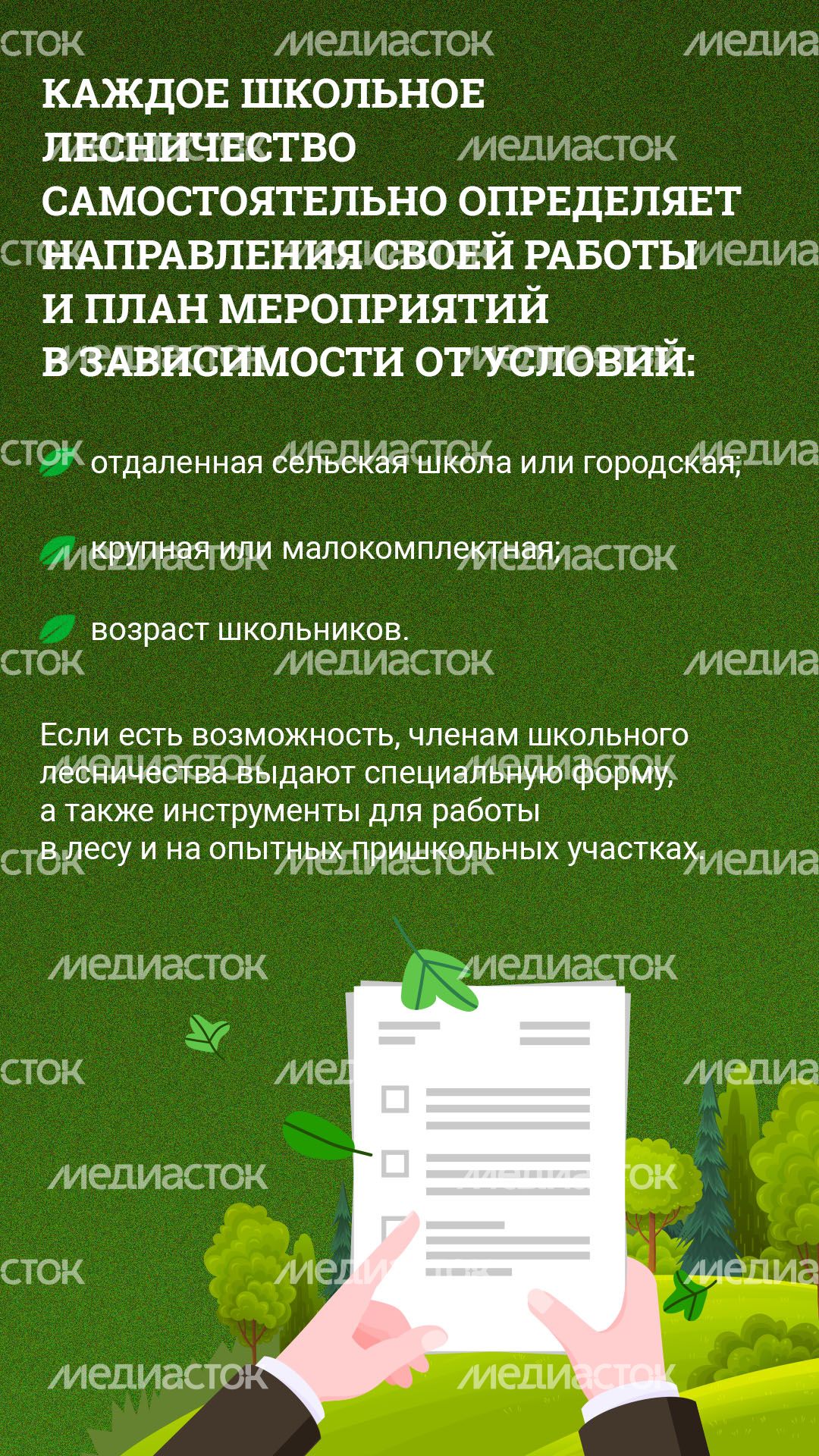 Школьные лесничества