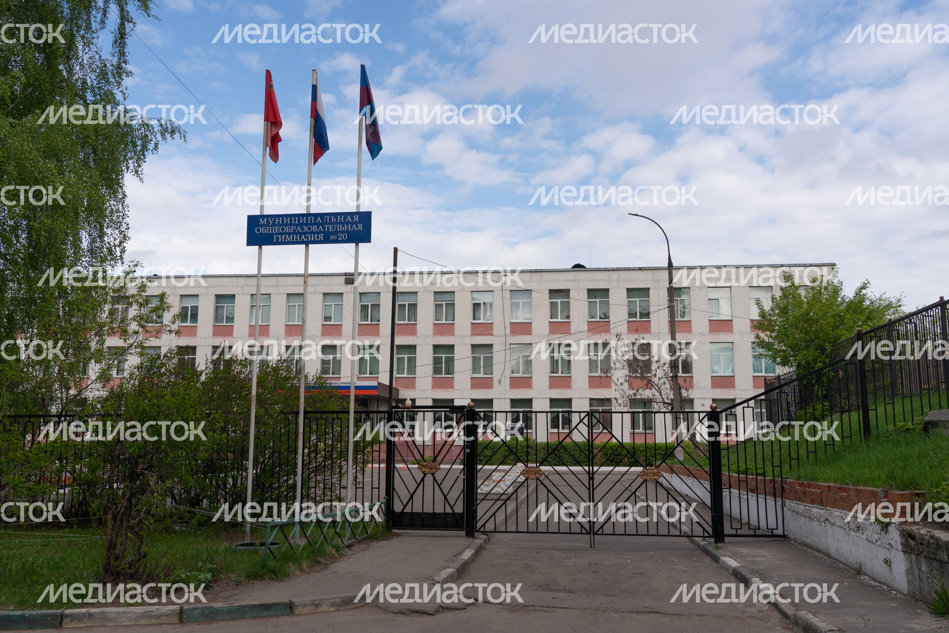 МОУ «Гимназия № 20» МОУ «Гимназия № 20»