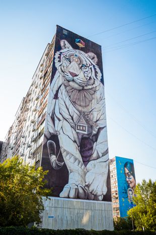Балашиха. Муралы на стенах домов