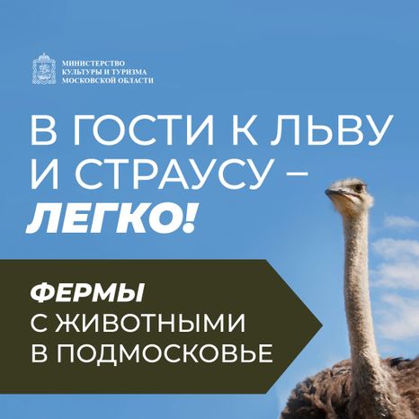 Фермы с животными