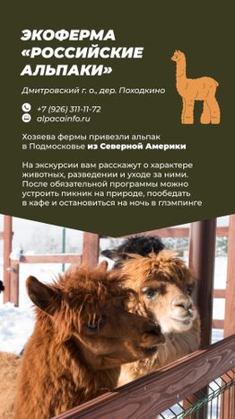 Фермы с животными