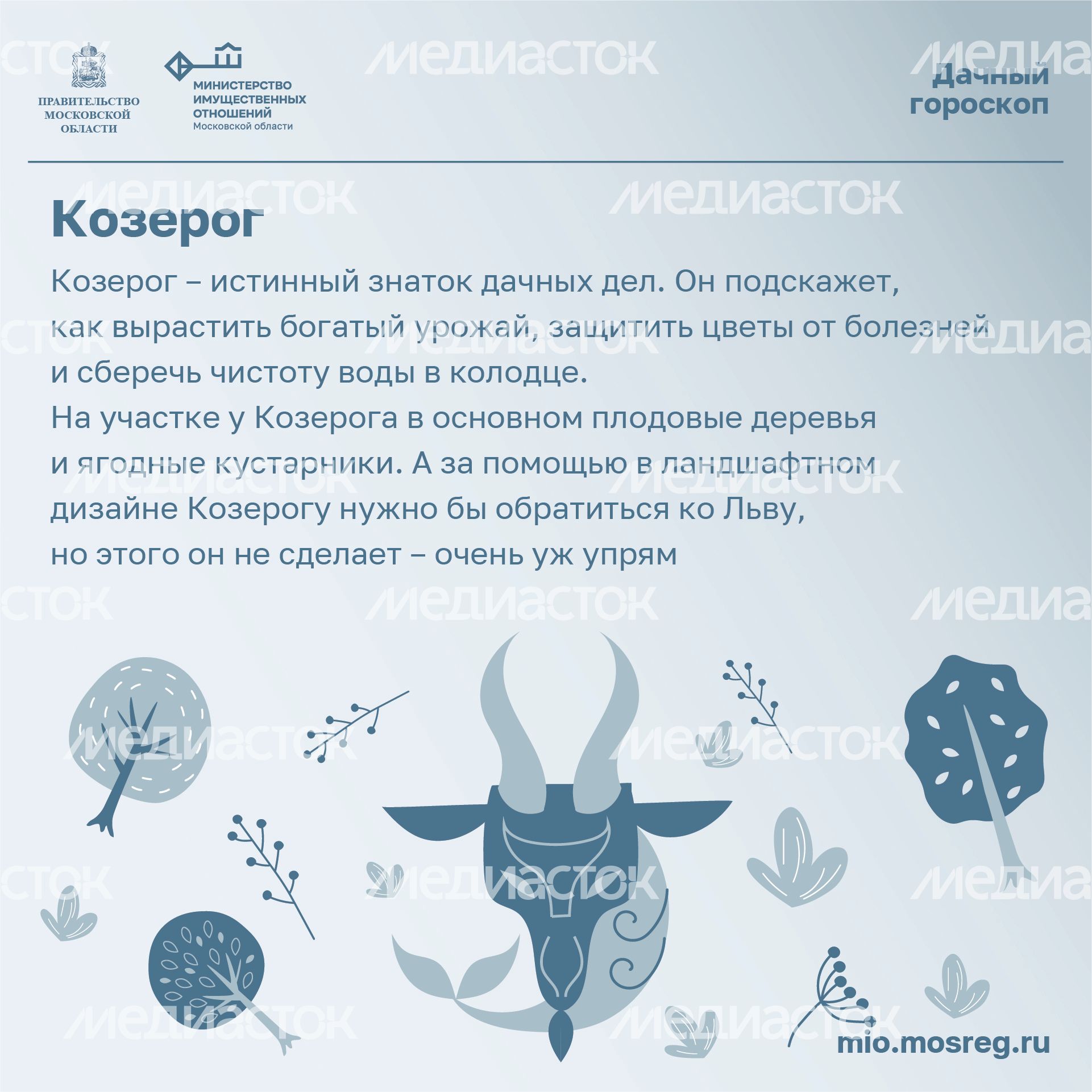 Квадрат_Дачный_гороскоп_10-100.jpg