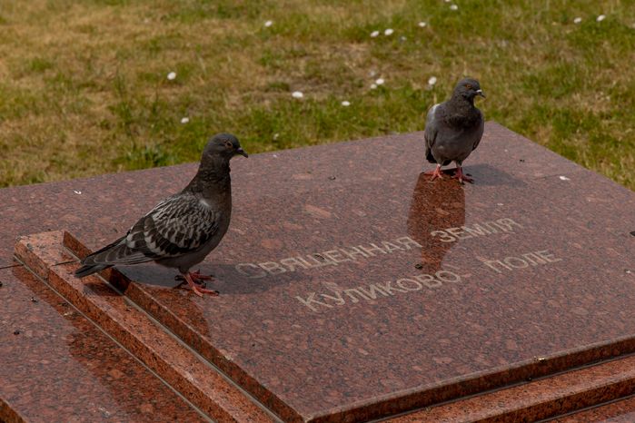 Памятник Дмитрию Донскому