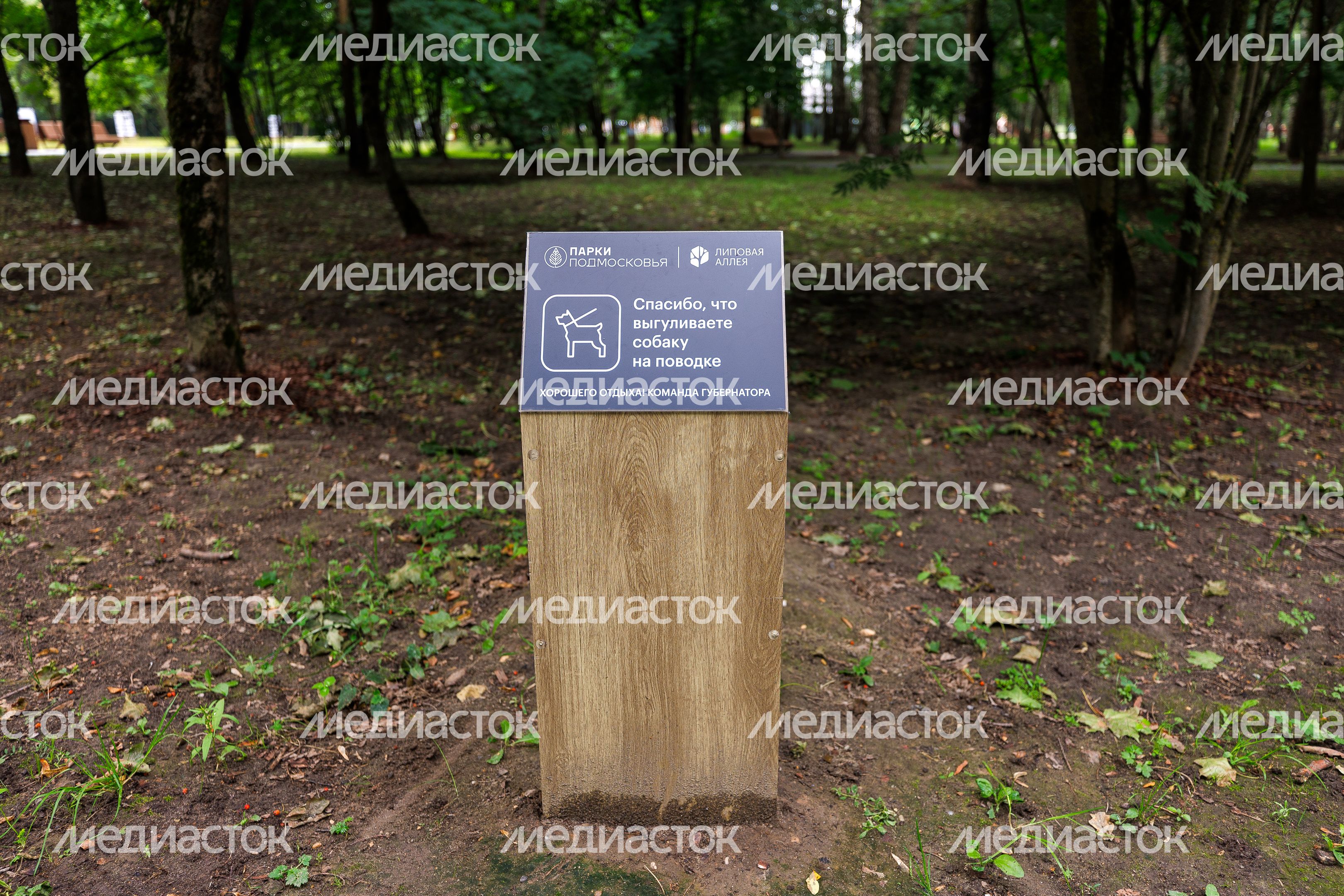 Парк "Липовая аллея" в Электроуглях
