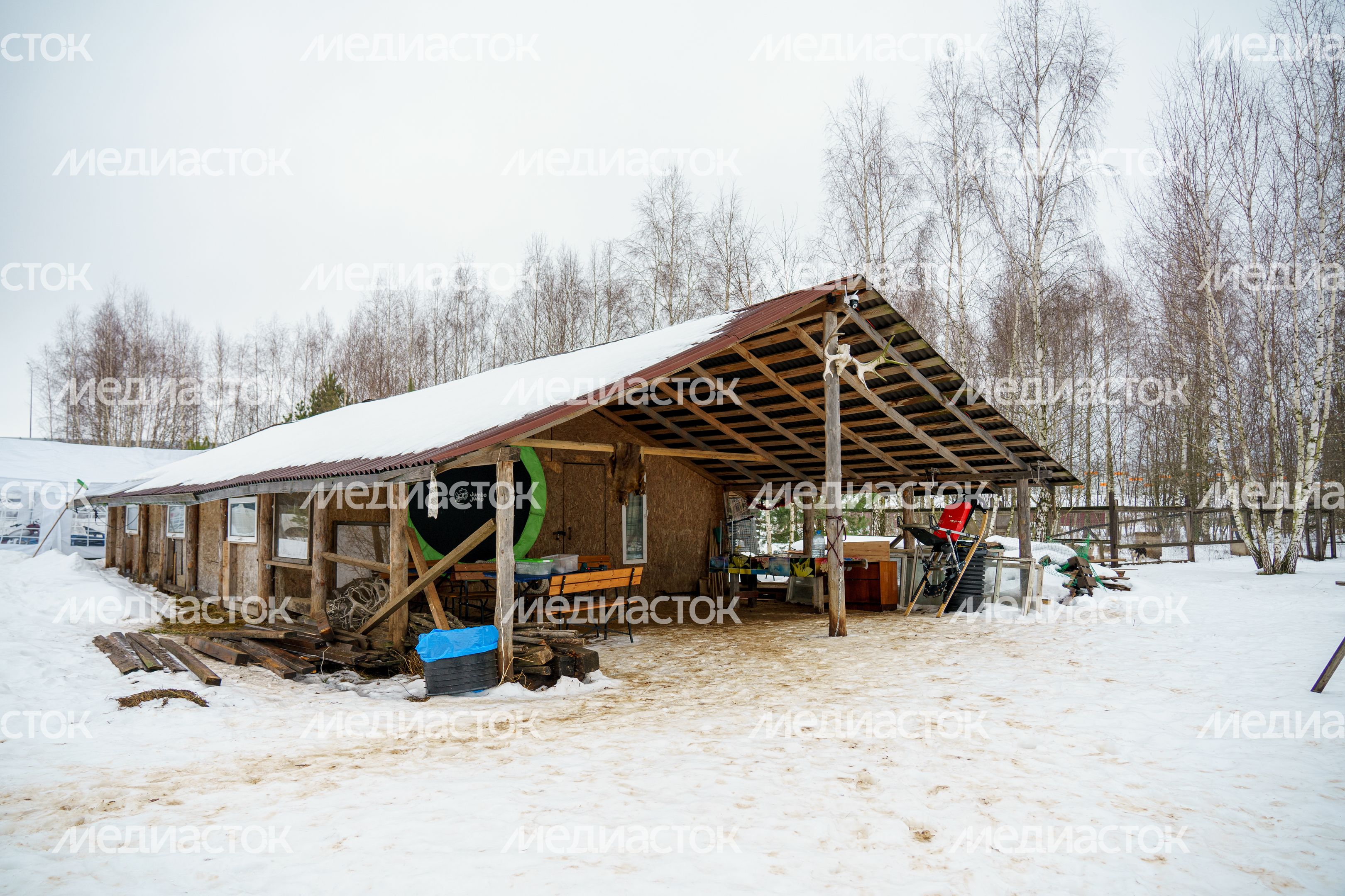Чукотское стойбище "Хаски парк" в Раменском округе зимой