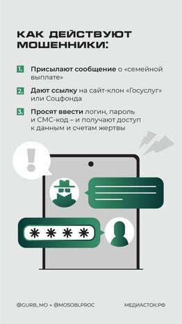 Фейковые семейные выплаты вертикаль 03