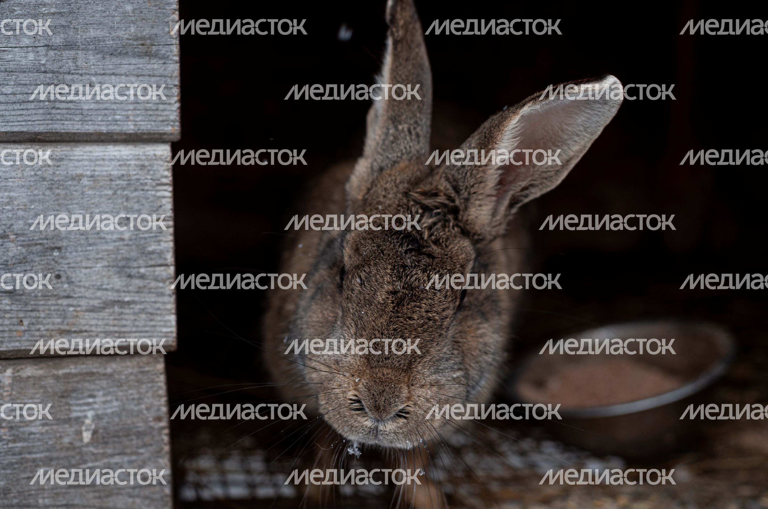 Зимние виды Конно-спортивного клуба Баллада