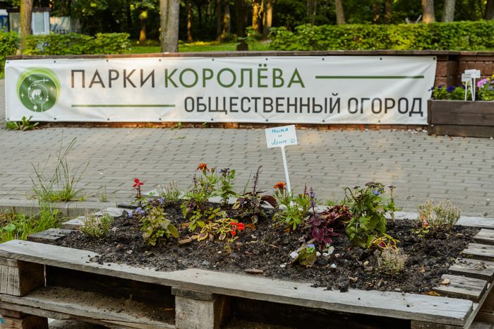 Королев. Центральный городской парк